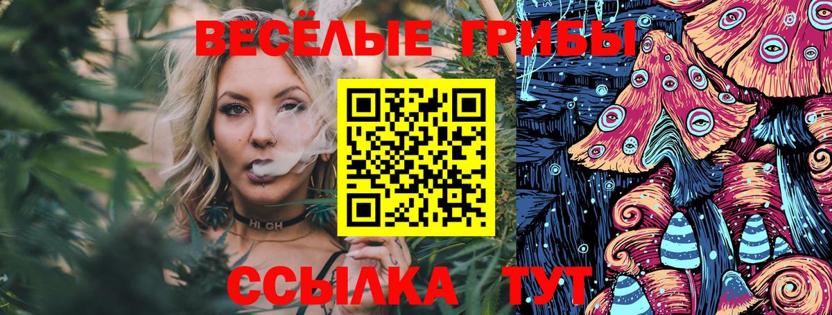 где можно купить   Псилоцибиновые грибы Magic Shrooms  Вход с VPN  Хасавюрт 